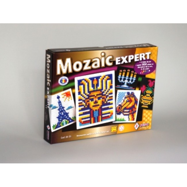 Mozaic expert